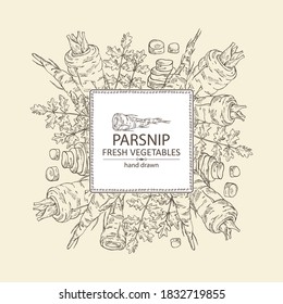 Background with parsnip. Vector hand drawn illustration.