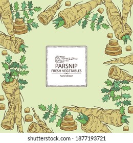Background with parsnip. Vector hand drawn illustration.