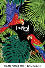 Background, party invitation,  cover with text box with tropical plants, flowers and birds.  Vector illustration. Isolated on black background.