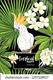 Background, party invitation,  cover with text box with tropical plants, flowers and birds.  Vector illustration. Isolated on black background.