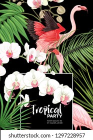 Background, party invitation,  cover with text box with tropical plants, flowers and birds.  Vector illustration. Isolated on black background.