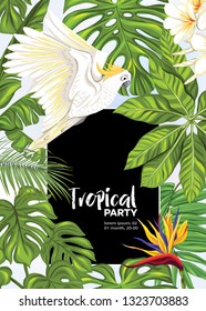 Background, party invitation,  cover with text box with tropical plants, flowers and birds.  Vector illustration. On blue background.