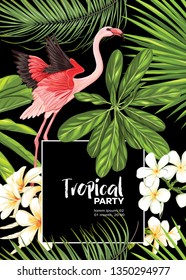 Background, party invitation,  cover with text box with tropical plants, flowers and birds.  Vector illustration. Isolated on black background.
