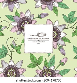 Background with passiflora incarnata: passiflora flowers, leaves and plant. Cosmetic, perfumery and medical plant. Vector hand drawn illustration.