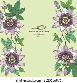 Background with passiflora incarnata: passiflora flowers, leaves and plant. Cosmetic, perfumery and medical plant. Vector hand drawn illustration.