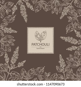 Background with patchouli: patchouli branch with leaves and flowers. Cosmetics and medical plant. Vector hand drawn illustration.
