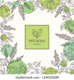 Background with patchouli: patchouli branch with leaves and flowers. Cosmetics and medical plant. Vector hand drawn illustration.