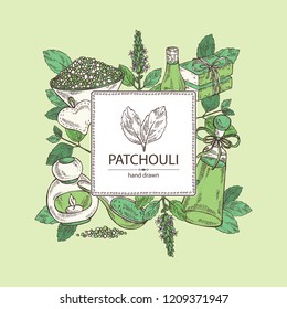 Background with patchouli: patchouli branch with leaves and flowers, oil, soap and bath salt . Cosmetic and medical plant. Vector hand drawn illustration. 