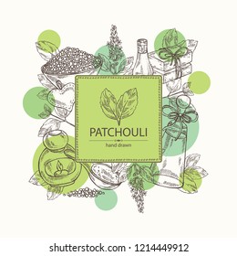 Background with patchouli: patchouli branch with leaves and flowers, oil, soap and bath salt . Cosmetic and medical plant. Vector hand drawn illustration. 