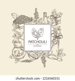Background with patchouli: patchouli branch with leaves and flowers, oil, soap and bath salt . Cosmetic and medical plant. Vector hand drawn illustration. 