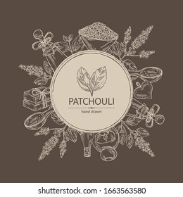 Hintergrund mit Patchouli: patchouli Zweig mit Blättern und Blumen, Öl, Seife und Badesalz . Kosmetische und medizinische Pflanze. Vektorillustration handgezeichnet.