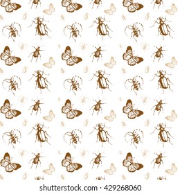 Background pattern of butterflies and beetles, vector
