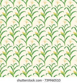 background pattern with corn stalk vector illustration