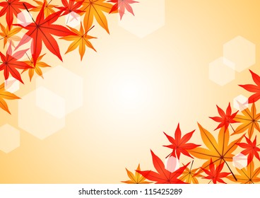 Background pattern of the japanese maple
