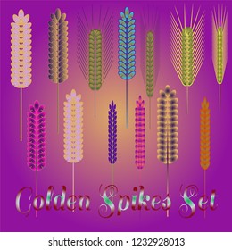 Background pattern nature multicolor eco spica set.
