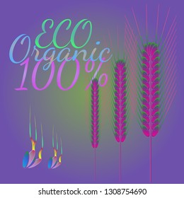 Background pattern nature multicolor eco spica kit.