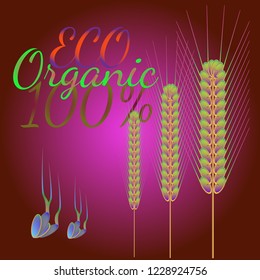 Background pattern nature multicolored eco spica suite.