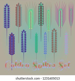 Background pattern nature multicolored eco spica suite.