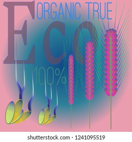 Background pattern nature multicolored eco spica set.