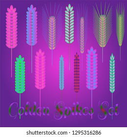 Background pattern nature multicolored eco spica set.