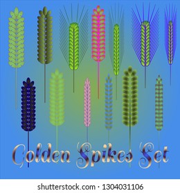 Background pattern nature multicolored eco spica kit.