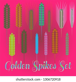 Background pattern nature multicolored eco spica set.
