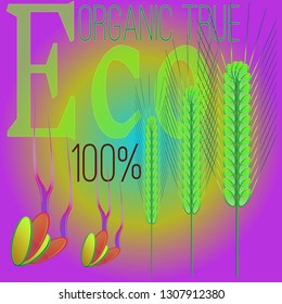 Background pattern nature multicolored eco spica suite.