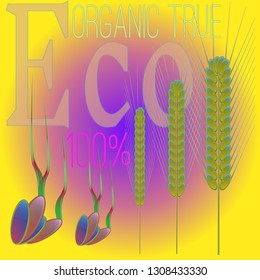 Background pattern nature multicolored eco spica kit.