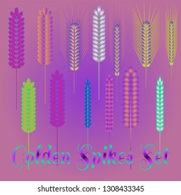 Background pattern nature multicolored eco spica set.