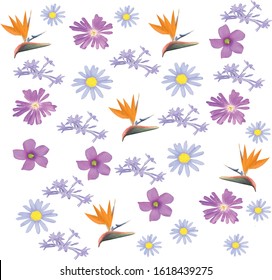 Background, pattern or set of flowers such as daisies and Strelitzia reginae. Digital paper with spring design. EPS 8 vector