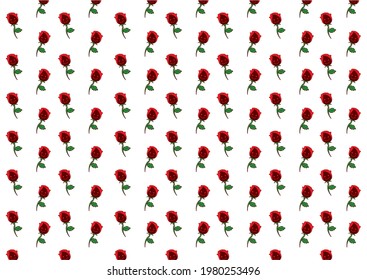 background and pattern of small owls of happy pink roses, forming a flower pattern to use as a graphic resource