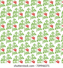 background pattern with tomato plant
