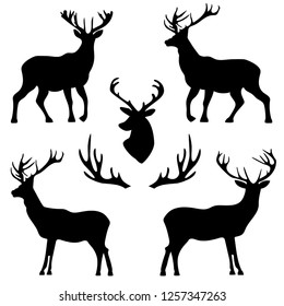 Background Patterns Deer Horns Stock Vector (Royalty Free) 1257347263 ...