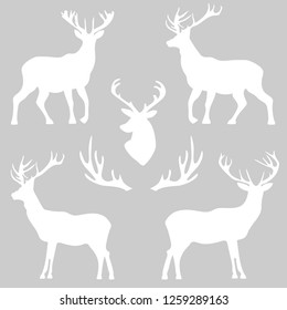 background with patterns of deer and horns