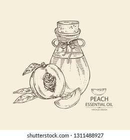 Background with peach and bottle of peach essential oil. Cosmetic, perfumery and medical plant. Vector hand drawn