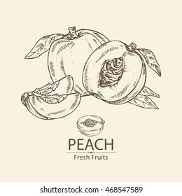 Background with peach . hand drawn