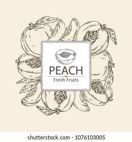 Background with peach and peach slice background. Vector hand drawn illustration