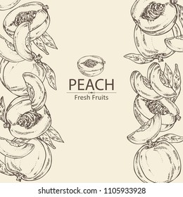 Background with peach and peach slice background. Vector hand drawn illustration