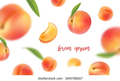 Background of the peaches with leaves. Vector illustration realistic