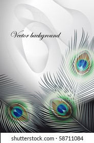 Background with peacock feathers