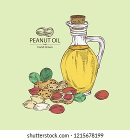 Background with peanut and bottle of peanut oil. Vector hand drawn illustration