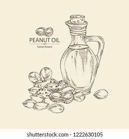 Background with peanut and bottle of peanut oil. Vector hand drawn illustration