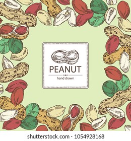 Background with peanut: nuts and leaves. Vector hand drawn illustration