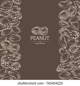 Background with peanut: nuts and leaves. Vector hand drawn illustration.