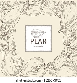 Background with pear: fruit, leaves, flower and pear slice. Vector hand drawn illustration.