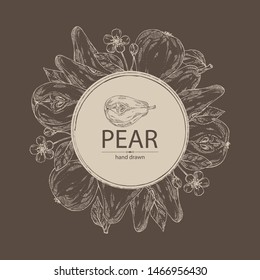 Background with pear: fruit, leaves, flower and pear slice. Vector hand drawn illustration.