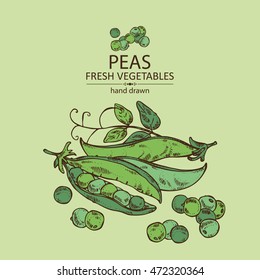 Background with peas . hand drawn