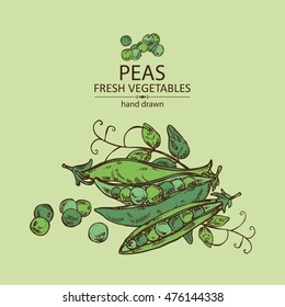 Background with peas . hand drawn