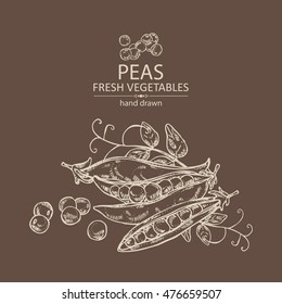 Background with peas . hand drawn