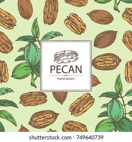 Background with pecan: pecan nuts and leaves. Vector hand drawn illustration